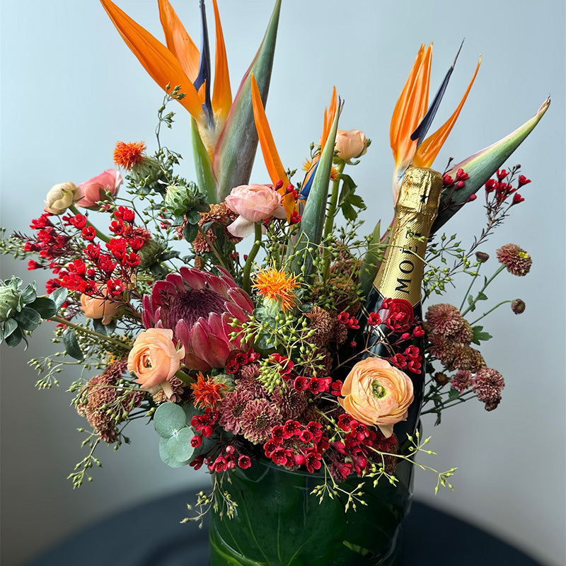 Vibrant Celebration